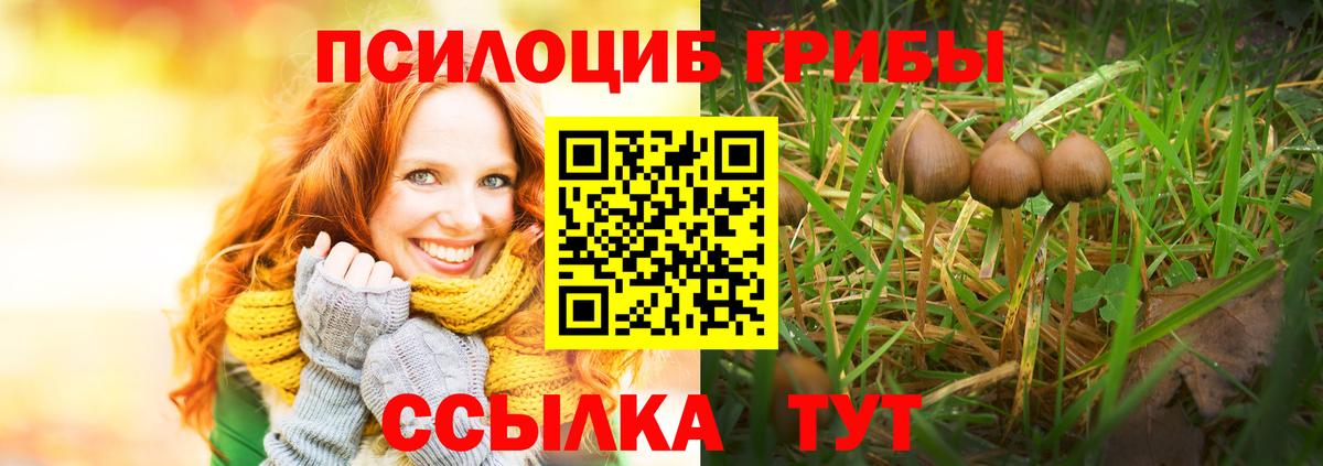 Псилоцибиновые грибы MAGIC MUSHROOMS Кисловодск